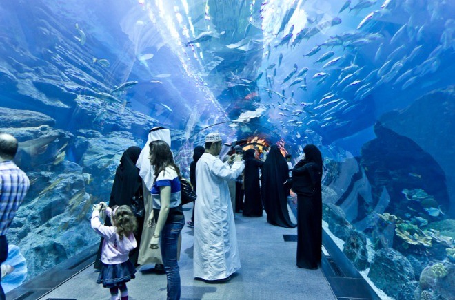Aquarium of the Dubai Mall