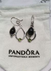 Pandora Earrings4