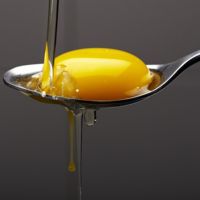 Korzyści żółtka jaja