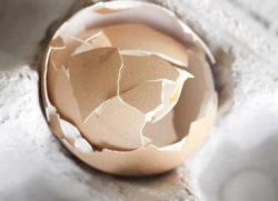 ljuska jajeta i štetu