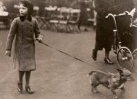 Елизавета с детства держала собак