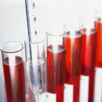 Erythremia test krwi
