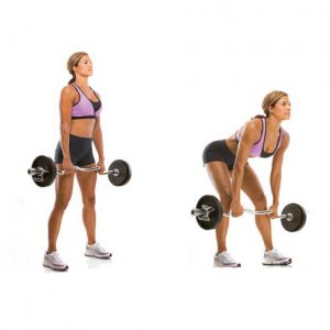 barbell exercise4