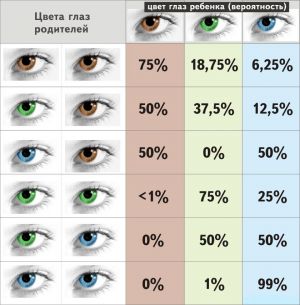 генетика ока у детету