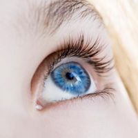Инструкция Tobrandex Eye Drops