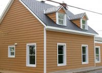 Soočanje s fasado lesene hiše - kakšen material je boljši3