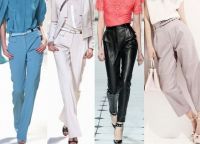 Modni hlače duljine 2013. 2