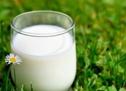 kakšna je vsebnost maščob v materino mleko