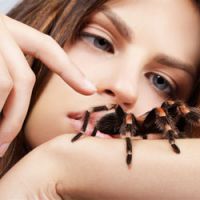 strach przed pająkami