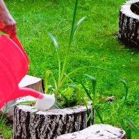 како направити ђубриво из трава