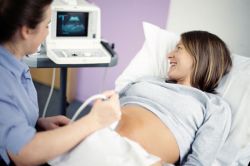 ultrazvuk během stanovení sexu v těhotenství