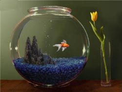аквариум за малък аквариум