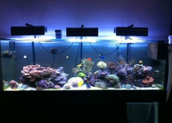 LED svetilka za akvarij