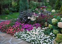 Cvetlični vrtovi v državi z lastnimi rokami7