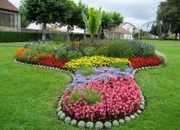 Cvetlični vrtovi v državi z lastnimi rokami9