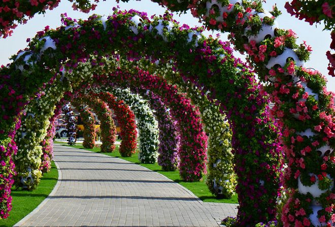 Park Kwiatowy Dubaju UAE