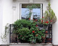 Как да украсим балкон с цветя