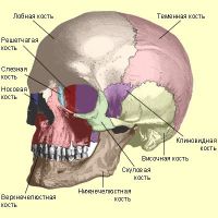 złamanie kości podstawy czaszki