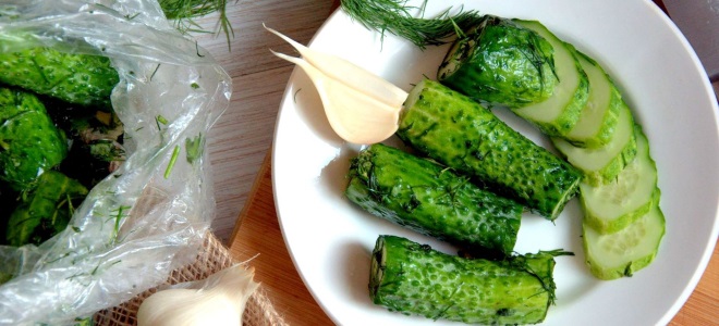 Рецепта за леко солени краставици със студена вода