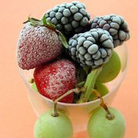 so zamrznjene jagode koristne?