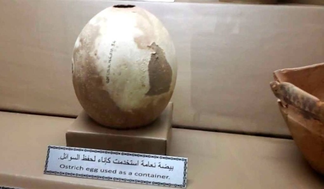 Окаменелое яйцо страуса - один из самых интересных экспонатов