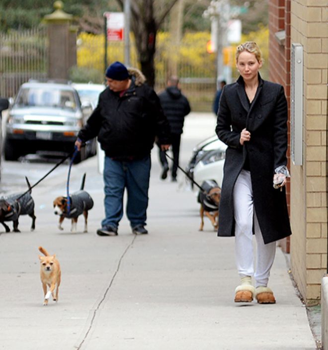 Дженнифер Лоуренс в тапочках на прогулке с собакой по Нью-Йорку