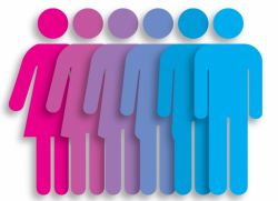 психологията на половите различия