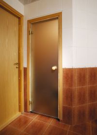 Drzwi szklane do sauny5