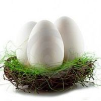 korzyści z jajek gęsich