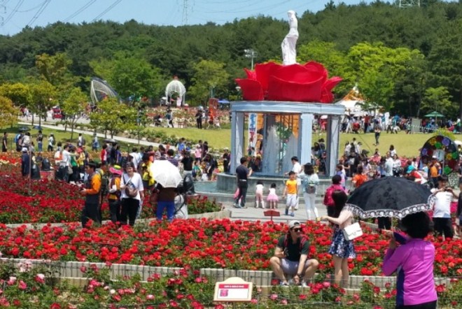 Фестиваль роз в Ульсанском парке