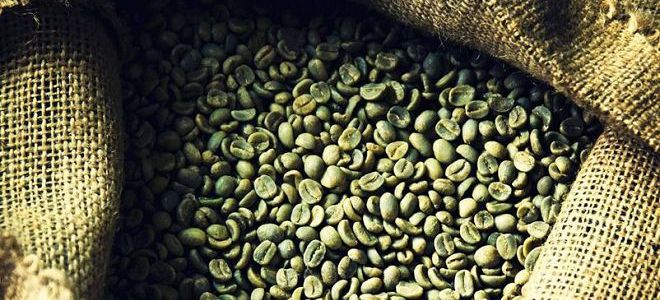 kako narediti zeleno kavo