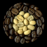 zelena zrna kave