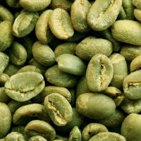zielone kawy