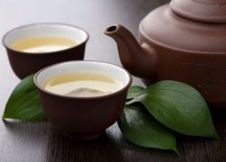 Jak je užitečný zelený čaj s mlékem?