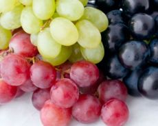 rosnące winogrona z chibouks