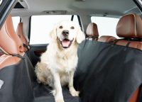Houpací síť pro psy v autě6