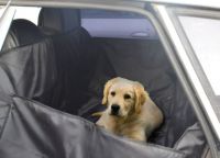 Houpací síť pro psy v autě7