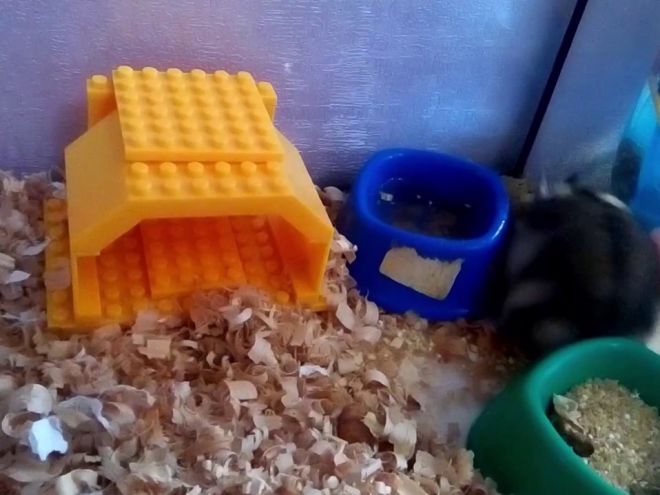 Домики из конструктора LEGO 