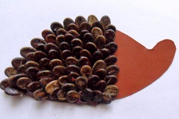 занаятчийски семена от диня по темата autumn11