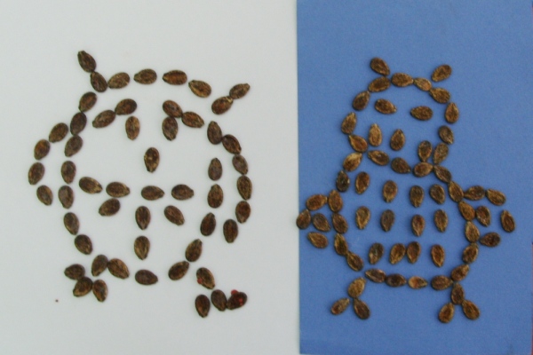 занаятчийски семена от диня по темата autumn1