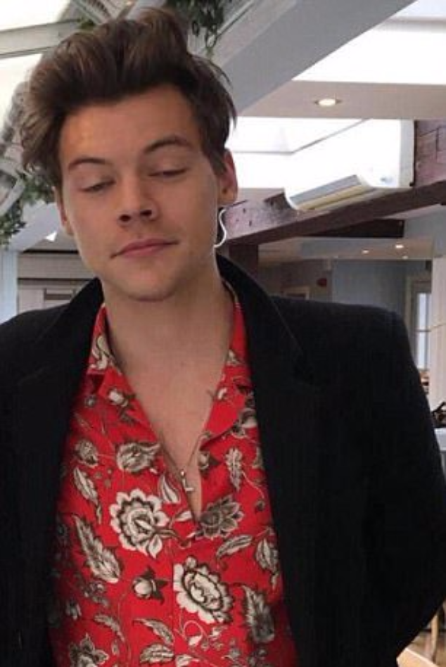Гарри в цветочной рубашке