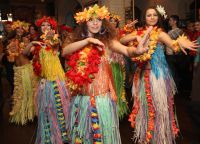 Hawaiian Party3