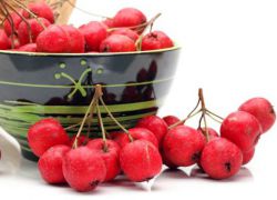 korzyści głogu jagody