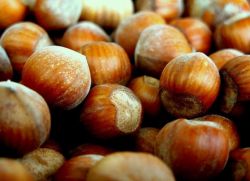 ořechy ořechové užitečné vlastnosti