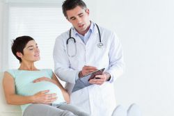 srdeční frekvence během těhotenství