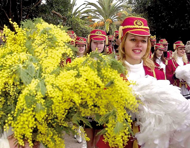 Фестиваль мимозы в Черногории