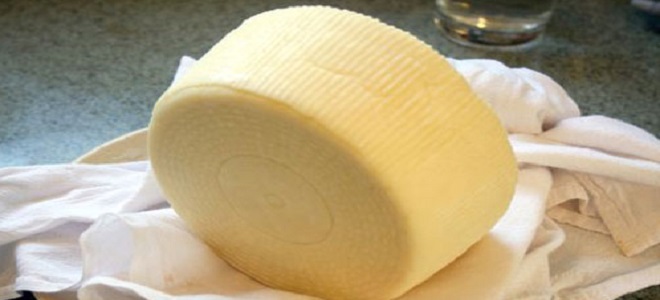 Domowy twardy ser z twarogu i mleka