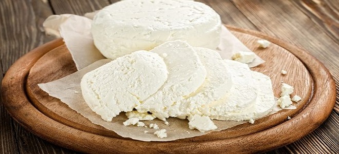 Twarogowy ser z mleka i jogurtu
