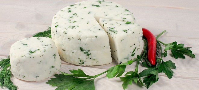 Sýr v multivarkách mléka a tvarohu