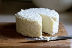 izdelavo domačega sira